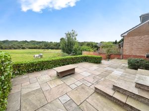 Rear Garden- click for photo gallery